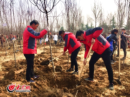 临沂龙园旅游区的员工们身穿红色马甲，栽下树苗，播种绿意.jpg