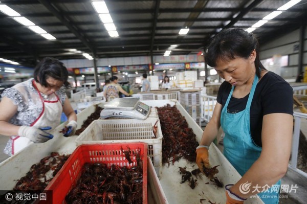 探访中国最大小龙虾交易市场 商贩一天卖两万