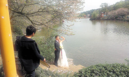 市民公园拍婚纱照竟被索要取景费(图)