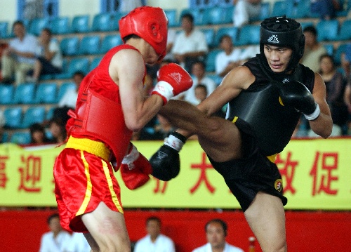 兰陵县4月份承办今年全国武术散打锦标赛