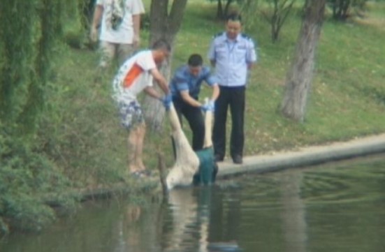 南京阅江楼护城河发现漂浮女尸死因不详组图