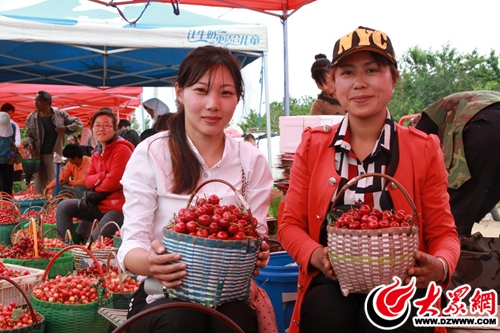 中国(厉家寨)樱桃节背后的故事