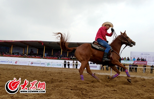 2016中华民族大赛马在郯城开幕 激情马术比赛