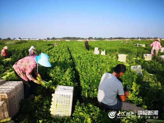 图片包含 户外, 天空, 树, 草
描述已自动生成