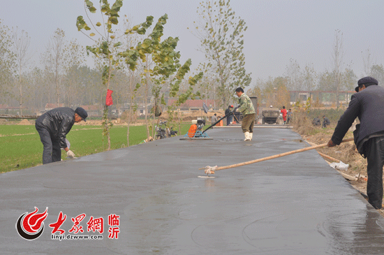 郯城县归昌乡推进村级道路网化工程建设