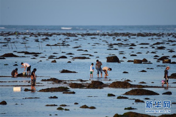 海南琼海:赶海拾贝