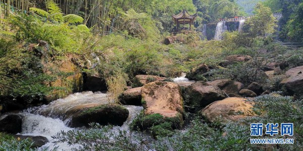 （环境）（6）贵州赤水：千瀑美景引客来