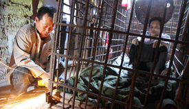 江西男子10年前打死小孩被囚铁笼11年终被释放