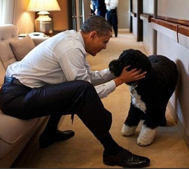 美国历届总统与“第一宠物”