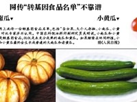 农业部公布中国转基因作物名单