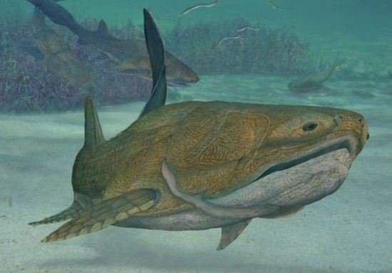 中国发现4.2亿年前古鱼 可看到人脸骨骼特征/图