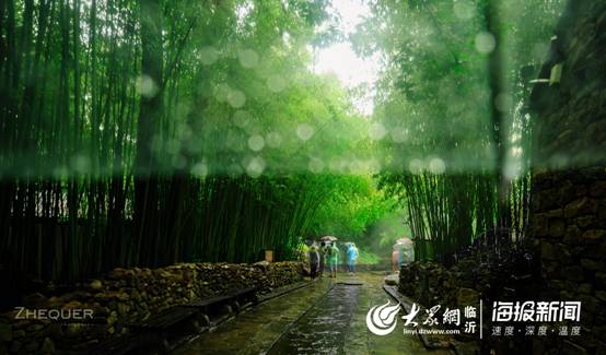 竹泉村2