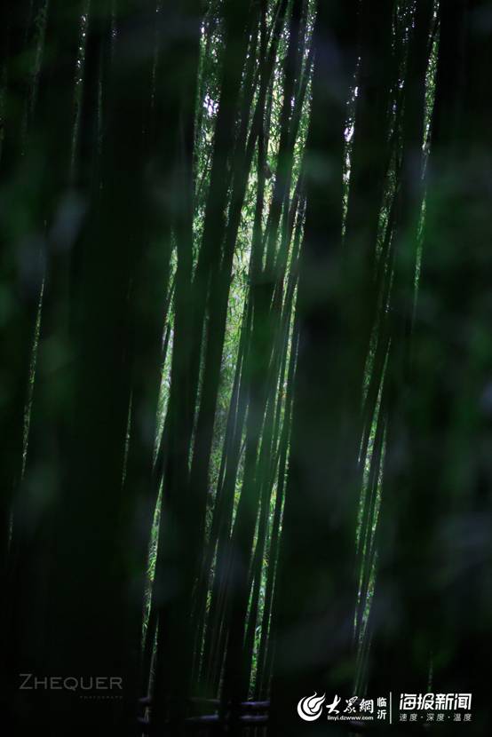 竹泉村1