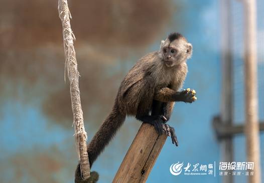 刘顺尧3