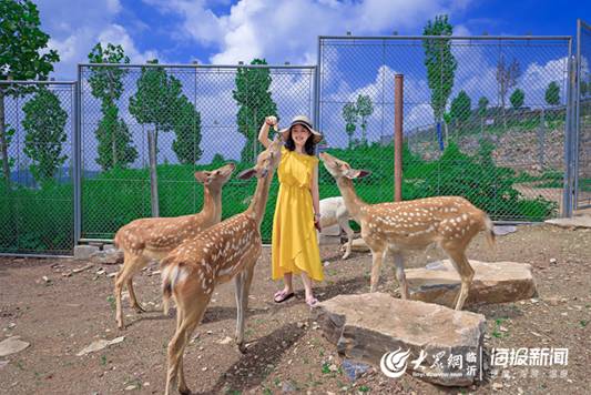张广涛3
