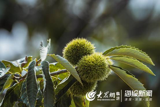 徐学文2