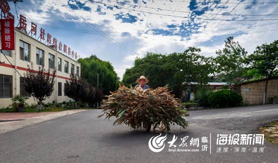刘顺尧2