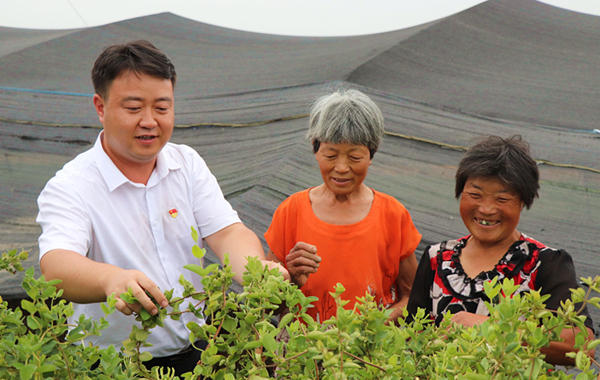 4与村民采摘金银花_副本.jpg