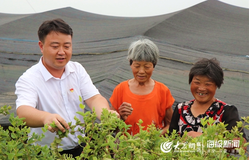 4与村民采摘金银花