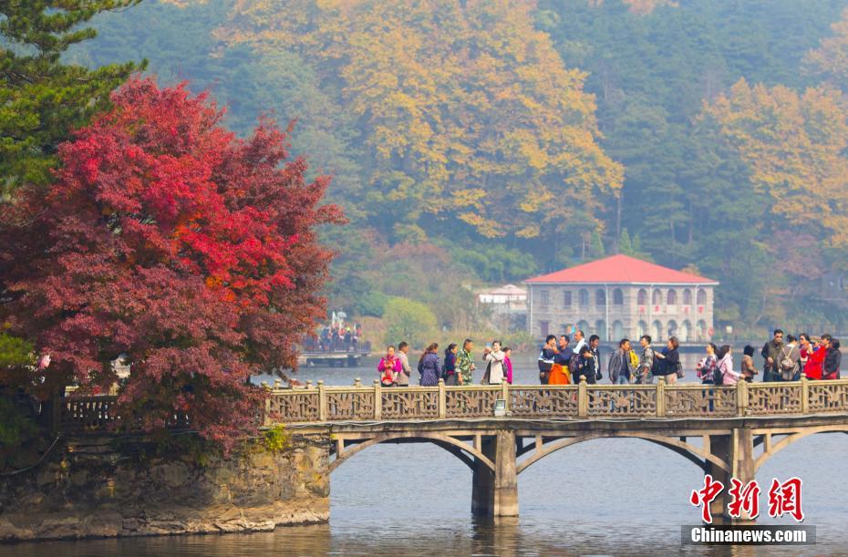 在庐山如琴湖景点,游人欣赏枫叶美景 熊国涛 摄