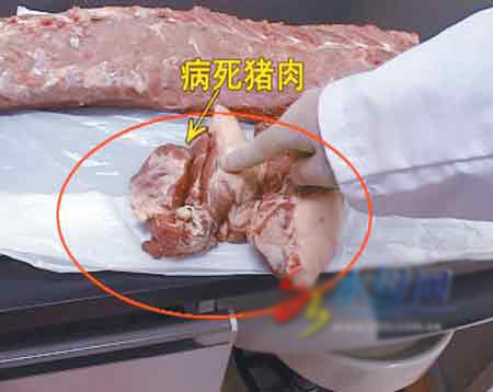 40吨病死猪肉流向湖南,广东餐桌 均带有高致死性疫病