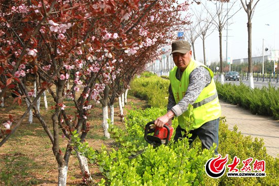临沂临港经济开发区 厉家寨 园林工人