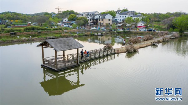 这是4月8日拍摄的南京市江宁区秣陵街道苏家村.