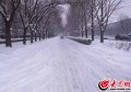 1、2015年11月24日，临沂迎来了羊年的第一场雪，大雪的突降虽然给市民的出行带来了许多不便，但是丝毫没有影响到人们赏雪的心情。（大众网记者 满健 摄）.jpg