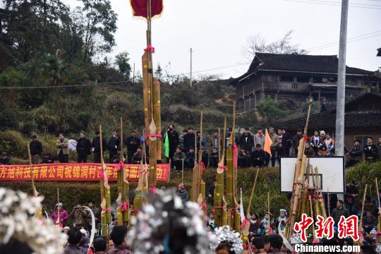 芦笙表演现场旁的水田站满围观的群众。　王以照 摄