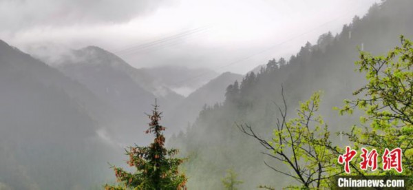 “陇右名山”甘肃兴隆山初夏云山雾绕烟波浩渺