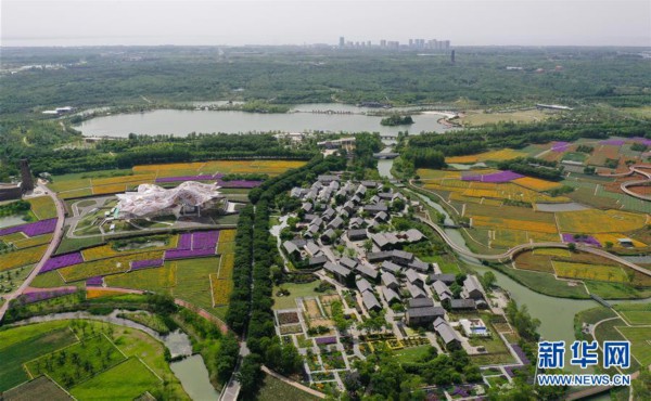 （环境）（1）江苏宿迁：衲田花海 五彩大地