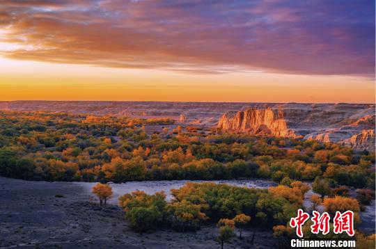 “金胡杨”迎来克拉玛依乌尔禾旅游热