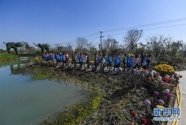 （美丽中国）（2）美丽乡村缤纷花展引客来